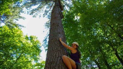 A camper climbing a tree.